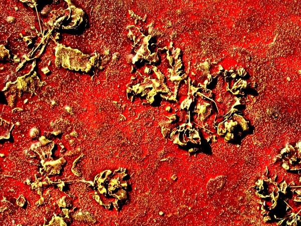 Irene Albano. Sedimenti, Sala Consiliare, Pisticci