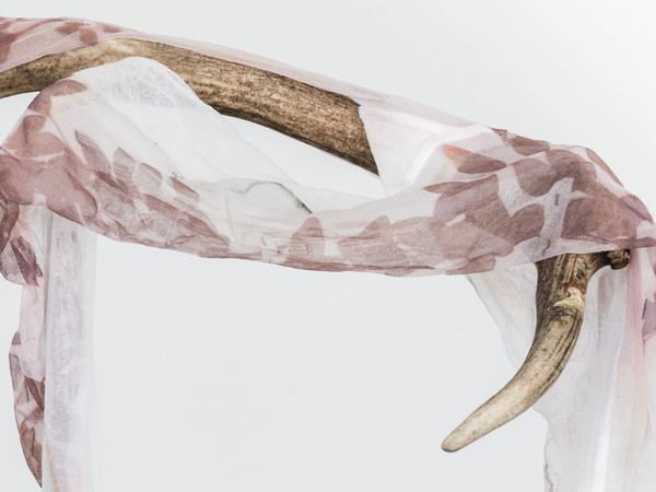 Luca Trevisani, Il secco e l’umido, 2016, UV print on stockings, animal horn, plexiglas
