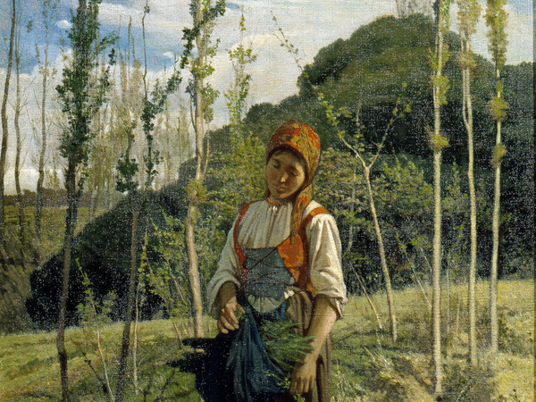 Giovanni Fattori, La boscaiola. Costume toscano, 1861 ca., Olio su tela, cm. 78x57, Collezione privata