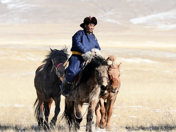 Carla Parato Milone e Giorgio Milone, Cavallo nella prateria, Mongolia