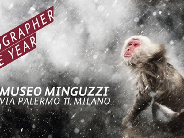 Wildlife Photographer of the Year 2014, Museo Minguzzi, Milano