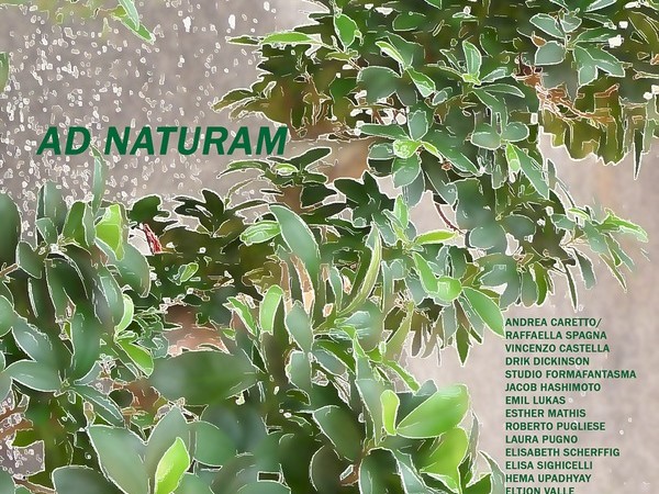 Ad Naturam, Museo Civico di Storia Naturale, Verona