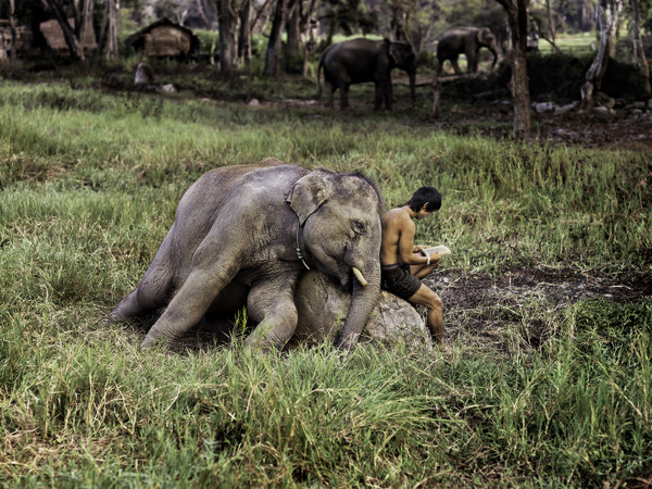 Steve McCurry, Thailand