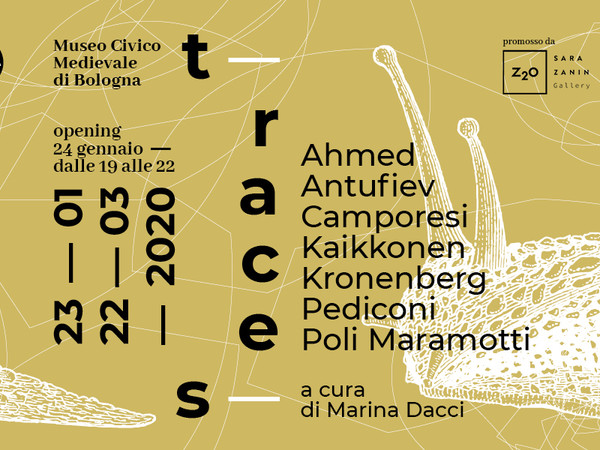 Traces, Museo Civico Medievale, Bologna