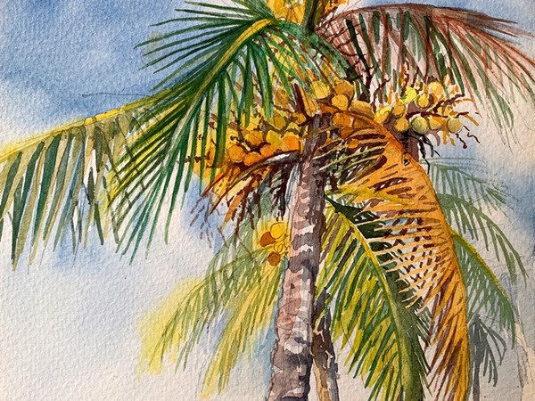 Anita Guerra, <em>Palm at the Biltmore</em>, 2019, watercolor on paper
