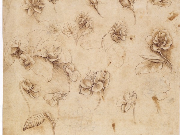 da vinci studio da vinci studio