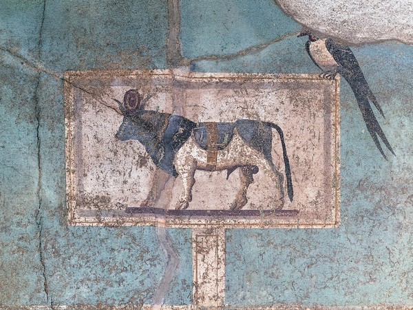 Affresco con il toro Apis (Particolare del giardino dipinto della Casa del Frutteto) | Pompei Su concessione del Ministero dei Beni e delle Attività Culturali e del Turismo: Soprintendenza Pompei, Archivio Fotografico