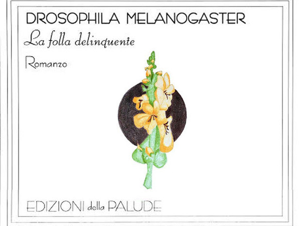 Massimo Napoli. Drosophila Melanogaster