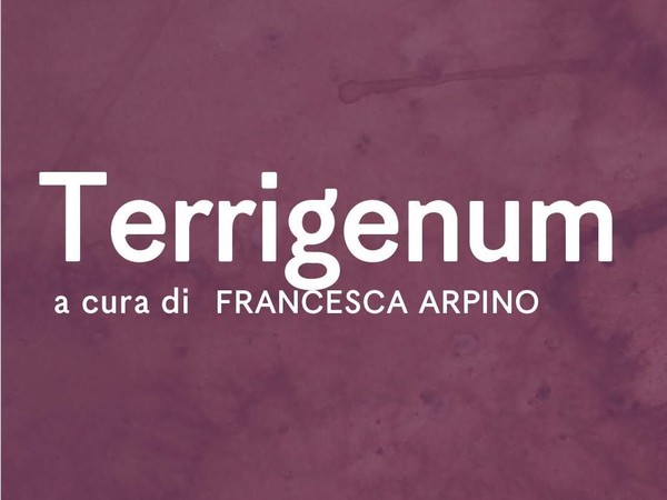 <em>Terrigenum</em>, Fondazione Sassi, Matera