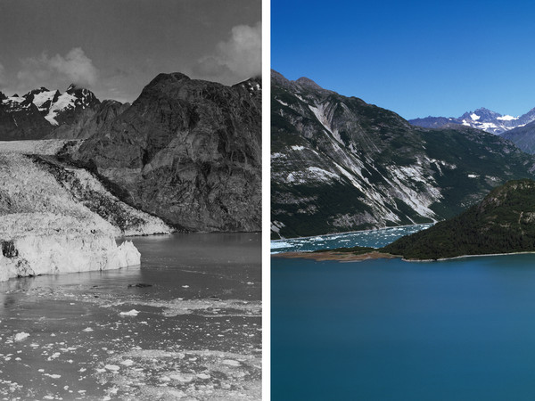 Sulle tracce dei ghiacciai, Alaska, Muir Glacier 1941-2013 | William Osgood Field, 1941 - © National Snow and Ice Data Center + Fabiano Ventura, 2013 - © Fabiano Ventura