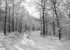 Massimo Pastore - Bianco Cold Landscapes Massimo Pastore - Bianco Cold Landscapes