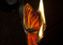 Mat Collishaw - Mat Collishaw. Preternatural