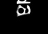 Bruno Morello - Lettere con carattere: senza con/ senso Bruno Morello - Lettere con carattere: senza con/ senso