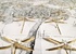 Gabriele Bonato, Giuseppe Capitano, Izumi Chiaraluce, Alberto Di Fabio, Marco Grimaldi, Asako Hishiki, Susanne Kessler, Thomas Lange, Christian Leperino, Vincenzo Marsiglia, Hidetoshi Nagasawa, Panamarenko,Giulio Paolini, Perino e Vele, Cristiano Pintaldi, Piero Pizzi Cannella, Pietro Ruffo e al. - Mapping. Ridisegnare luoghi. Uomo Natura Habitat