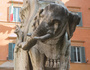 Elefantino della Minerva (Pulcino della Minerva)