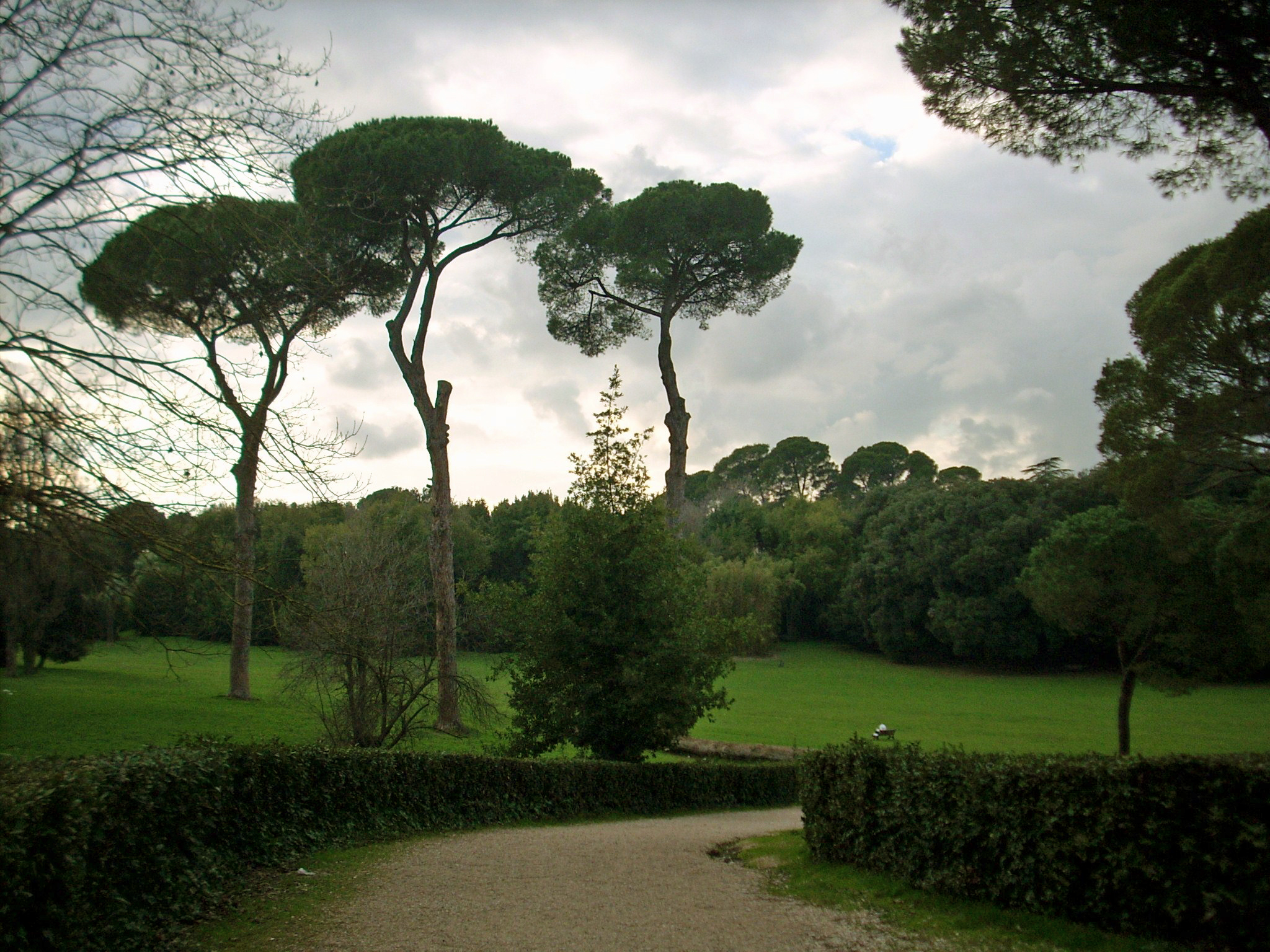 Ristorante Vicino Villa Ada Roma Ristorante Vicino Villa Ada Roma