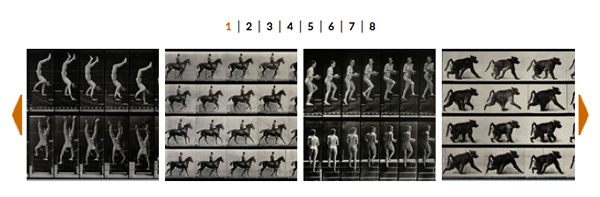  Eadweard Muybridge. Recall