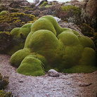 Green Island 2014. Landscaping. Dutch Design for a new city garden