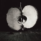 Photographer: @Aconica Country: United States