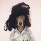 MIA Photo Fair BNP Paribas 2026 - Metamorfosi