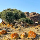 L'altro volto della Sardegna: da Pau a Gonnesa tra ossidiana, nuraghi, ex villaggi minerari e land art