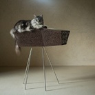 Fuorisalone 2017 - Brandodesign. Pet Home Collection