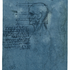 Leonardo da Vinci, Studio delle proporzioni della testa e della faccia, Royal Collection, Windsor