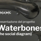 Loris Cecchini. Waterbones (the social diagram)