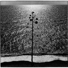 Le mostre al Vittoriale degli Italiani