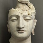 Arte del Gandhara, Testa di Budda, IV-V secolo d.C., MAO Museo d&rsquo;Arte Orientale, Torino, courtesy &copy; Fondazione Torino Musei, ph: Studio Fotografico Gonella 2026