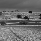 Giovanni Sarto. Le location di Montalbano