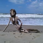 Il Sedicente Moradi, LA SIRENA, assemblaggio di legno. Spiaggia della lecciona (LU) - 16 agosto 2014