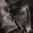 Mario Giacomelli, Le foglie, 390x285 mm | Courtesy of Studio Guastalla Arte Moderna e Contemporanea / The Lone T art space | Foto: Cristian Castelnuovo
