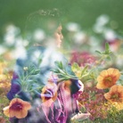 Caterina Burlini, Flora, 2015, Sguardi Femminili | © Caterina Burlini