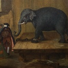Pietro Longhi, L’Elefante, 1774, Olio su tela, 62 x 50.1 cm, Collezione Intesa Sanpaolo Gallerie d'Italia - Palazzo Leoni Montanari, Vicenza