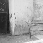 Ruann Coleman. Found: Roma
