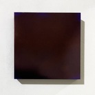 L’ombra delle lucciole