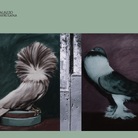 Contenuti per la cura. Opere di Cecilia Cocco e Daniela Flores