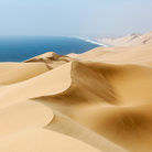 Orlando Fernandez Miranda, Windsweep, Wildlife Photographer of the Year, Spain Winner 2018, Earth’s Environments