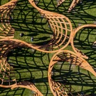 Un viaggio tra arte e scienza per i 600 anni dell’Università di Lovanio