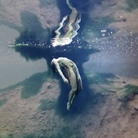 Water Dream Memory