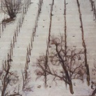 Bongiovanni Radice. Una pittura borghese