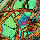 Arte o Scienza? Immagini dalla ricerca