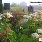 I giardini di Piet Oudolf