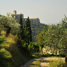 Festa dei Circondari