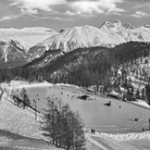 Der Pavilion: Singular Voices