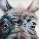 Milano Animal City. II Edizione