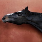 Luna - Ottavia Poli, Calendario Survivors.