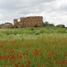 Siena In Cammino