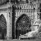 Aurelio Amendola. Capolavori fotografati. Burri, Vedova, Nitsch, Duomo di Milano, Bernini, Canova, Michelangelo